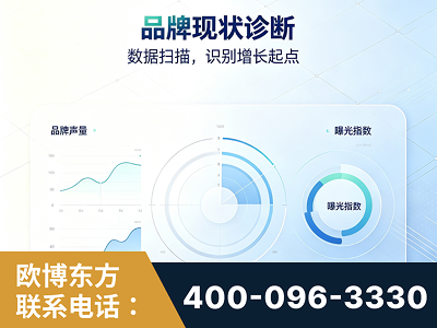 化州-品牌现状诊断