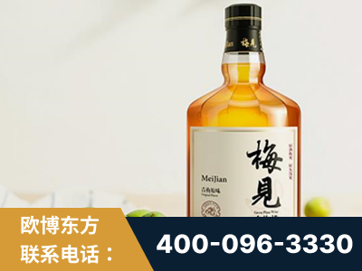 化州-梅见青梅酒